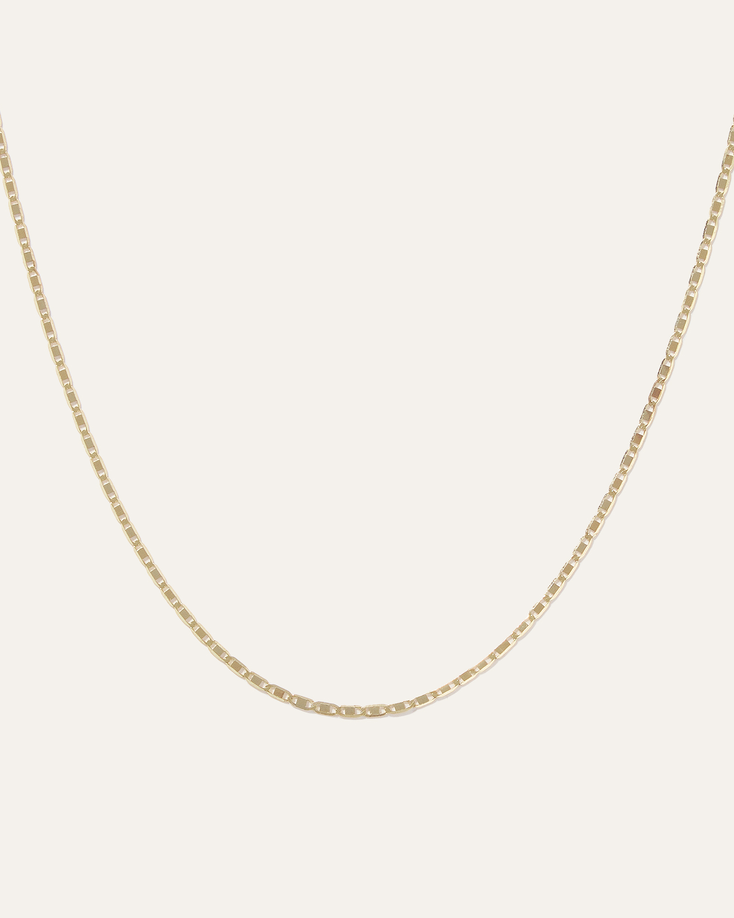 14K Gold Petite Valentino Chain Necklace