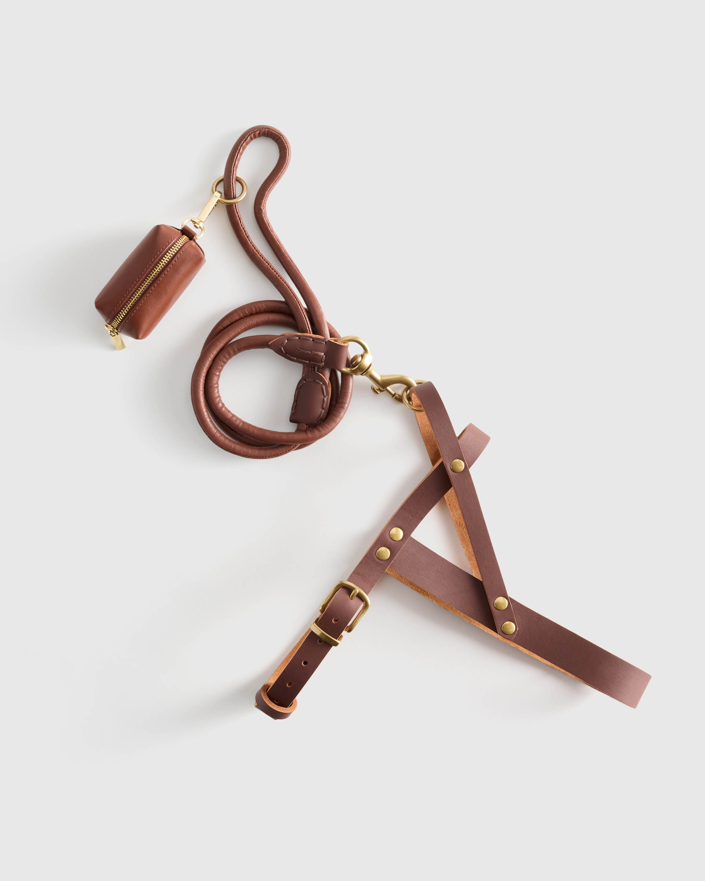 Italian Leather Dog Harness Walk Kit