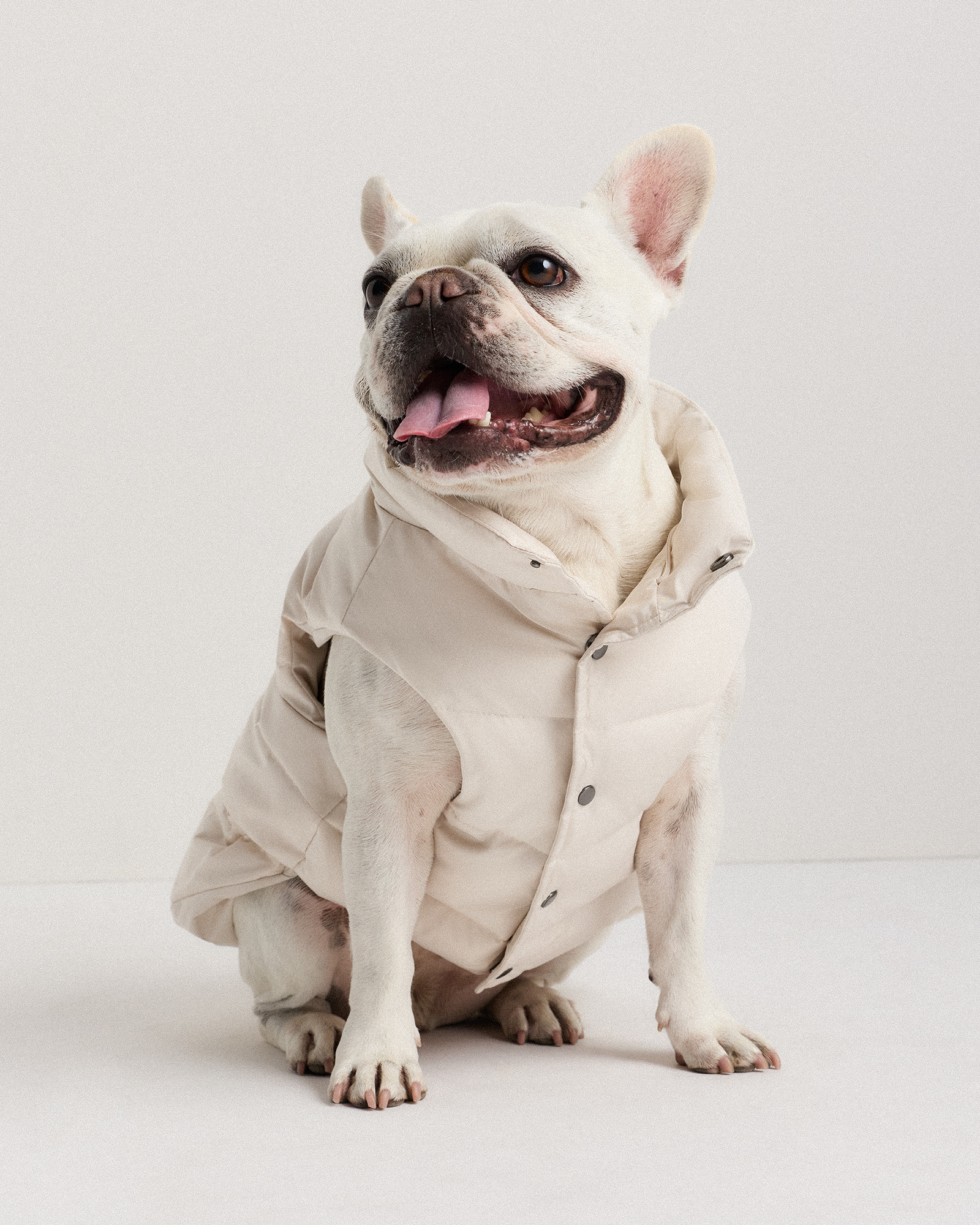 Waterproof Dog Puffer Jacket