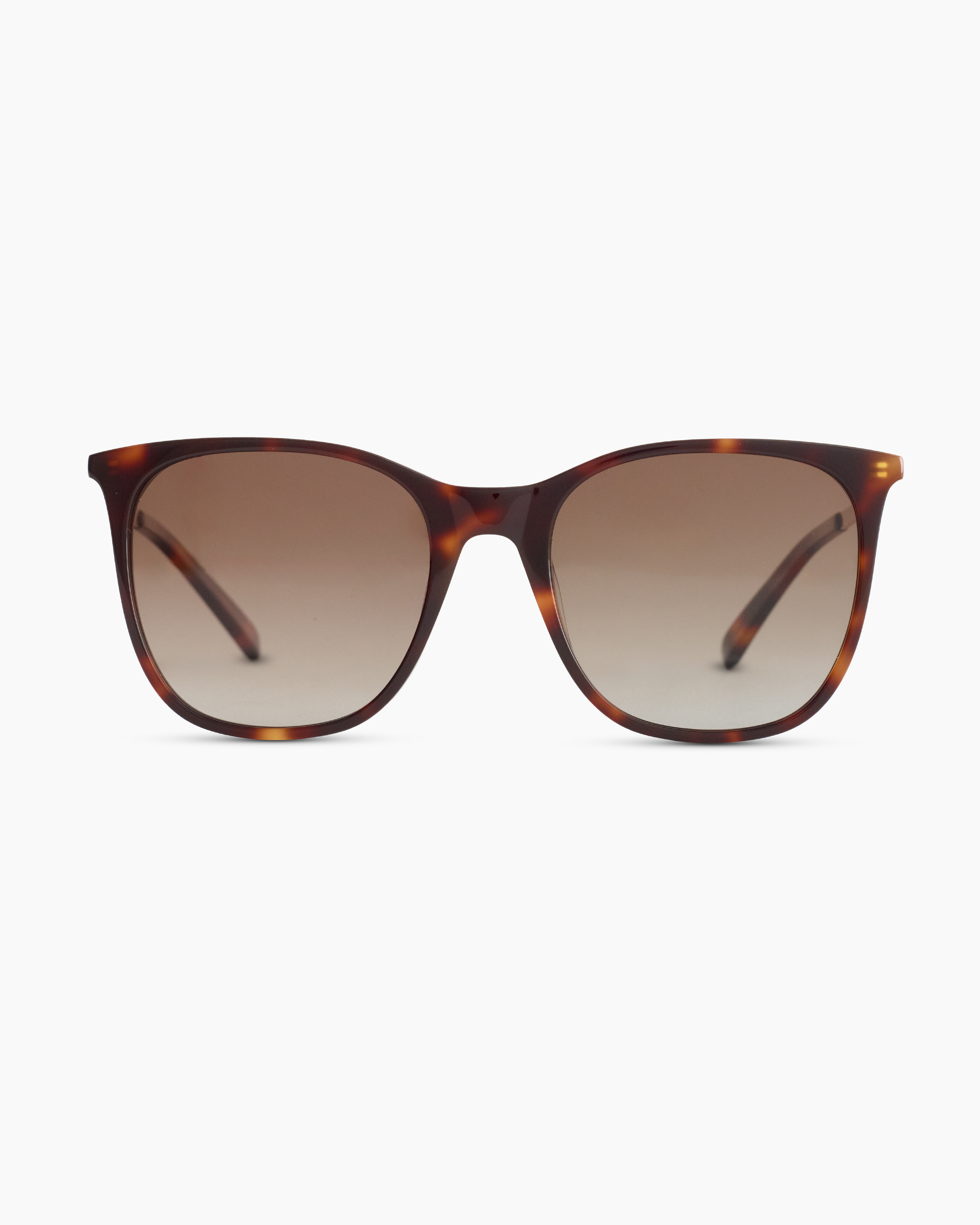 Poppy Polarized Acetate Sunglasses